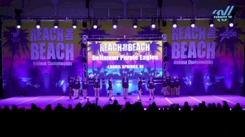 Bellmawr Purple Eagles - Euphoria [2025 L3.1 Performance Rec - 10-18Y (NON) Day 1] 2025 ACDA Reach the Beach Rec Nationals