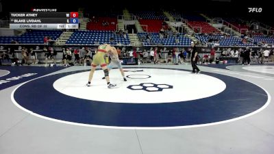 175 lbs Cons. Rd Of 32 - Tucker Athey, WI vs Blake Livdahl, IL
