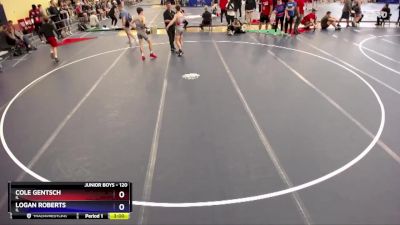 120 lbs Cons. Round 3 - Cole Gentsch, IL vs Logan Roberts, IL