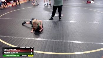 47 lbs 2nd Place Match - Grayson Link, Summerville Takedown Club vs Kellen Bushaw, Carolina Reapers