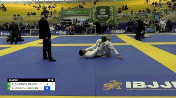 FABIO ARARUNA PEREIRA vs FRANCINEI HERLON JESUS DE ALMEID 2024 Brasileiro Jiu-Jitsu IBJJF