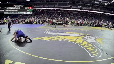 D1-132 lbs Cons. Round 3 - Hunter Pulawski, Byron Center HS vs Meyer Murray, Detroit Catholic Central HS