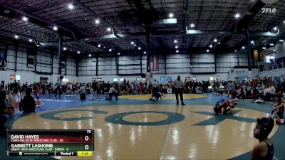 75 lbs Round 5 (6 Team) - David Hayes, CAROLINA ELITE WRESTLING CLUB vs Garrett Lashomb, GREAT NECK WRESTLING CLUB - GREEN