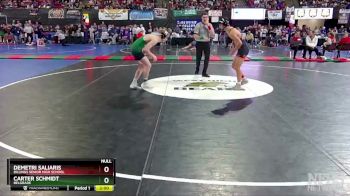 AA - 138 lbs Semifinal - Demetri Saliaris, Billings Senior High School vs Carter Schmidt, Belgrade