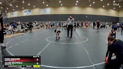 44 lbs Round 9 (10 Team) - Oliver Brumfield, Reaper WC vs Thor Skidmore, Brawler Elite