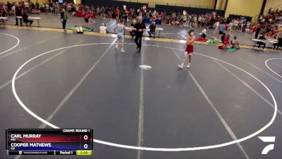 113 lbs Champ. Round 1 - Carl Murray, MN vs Cooper Mathews, CO