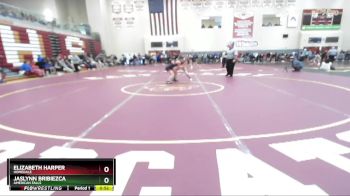 120 lbs Cons. Round 4 - Elizabeth Harper, Homedale vs Jaslynn Bribiezca, American Falls