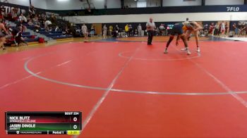 197 lbs Cons. Round 2 - Jasiri Dingle, Averett vs Nick Blitz, Springfield College