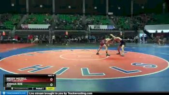 145 lbs Semifinal - Joshua Roe, Arab vs BRODY MIZZELL, Saint Clair County
