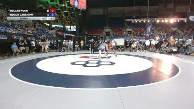 165 lbs Semis - Declan Koch, Wisconsin vs Rocco Cassioppi, Illinois
