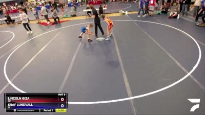 87 lbs Champ. Round 2 - Lincoln Giza, WI vs Shay Lundvall, IA