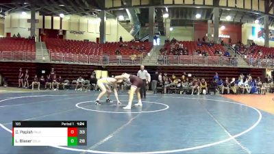 195 lbs Round 3 (3 Team) - Casey Popish, Papillion-LaVista vs Liam Blaser, Columbus