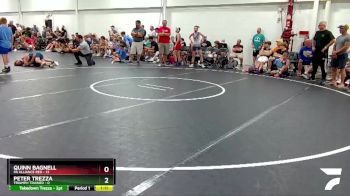 84 lbs Round 3 (8 Team) - Quinn Bagnell, PA Alliance Red vs Peter Trezza, Triumph Trained