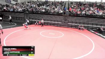 106 lbs Cons. Round 3 - Dallas Zobell, Springville vs Jarom Gappmayer, Brighton