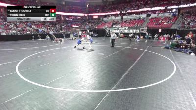 106 lbs Quarters - Elliott Radintz, Glenwood City vs Trigg Riley, Mineral Point