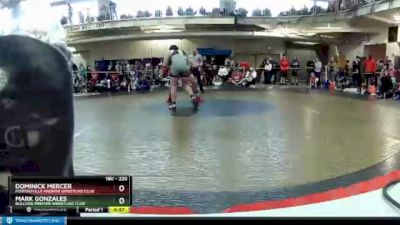 220 lbs Cons. Round 3 - Mark Gonzales, Bulldog Premier Wrestling Club vs Dominick Mercer, Martinsville Madmen Wrestling Club