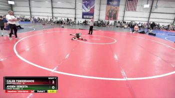 64 lbs Rd# 5- 3:45pm Friday Final Pool - Ayden Sebesta, Crass Trained vs Caleb Tsikerdanos, Maryland GOLD