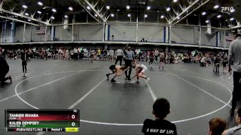72 lbs Round 6 (10 Team) - Tanner Rivara, FLOW vs Kaleb Dempsey, NOVA WC