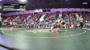 132 lbs Semifinals (8 Team) - Carter Cichocki, Lowell HS vs Gaven Babcock, Three Rivers HS