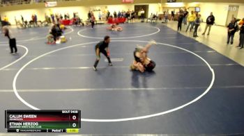 136 lbs Cons. Semi - Calum Sween, Minnesota vs Ethan Herzog, Andover Wrestling Club