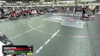 107 lbs Round 3 (4 Team) - Liam Sommer, Kenyon/Wanamingo vs Cooper Herzig, Muskego