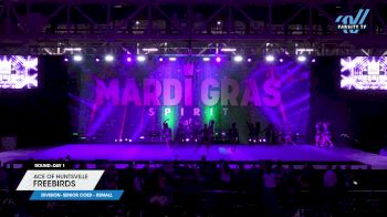 ACE of Huntsville - Freebirds [2025 L6 Senior Coed - XSmall Day 1] 2025 Mardi Gras Grand Nationals