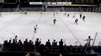 Replay: Home - 2024 Pics vs Knights | Nov 23 @ 7 PM