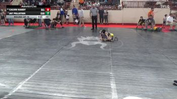 45_B lbs Round Of 16 - Calvin Handy, Dallastown vs Jay Pelletier, Chartiers Valley