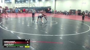 138 lbs Semis & 1st Wrestleback (8 Team) - Aaron Schmitz, Team Montana Sidney vs David Falola, Hawkstyle Elite