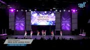 Dance Dynamics - Mini Elite Large Pom [2025 Mini - Pom - Large Day 2] 2025 JAMfest Dance Super Nationals