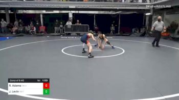 113 lbs Consolation - Raymond Adams, Calhoun HS vs Jacob Levin, Tottenville