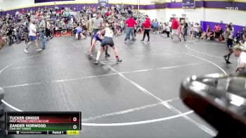 107 lbs Quarterfinal - Zander Norwood, Cane Bay Cobras vs Tucker Griggs, West Wateree Wrestling Club