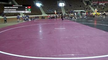 165 lbs Round 2 (10 Team) - Nate Naplitano, Truett-McConnell (Ga.) vs Melvin Patterson, Lindsey Wilson (Ky.)
