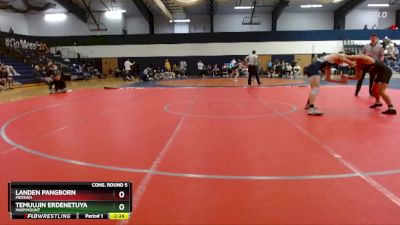 141 lbs Cons. Round 5 - Landen Pangborn, Messiah vs Temuujin Erdenetuya, Marymount