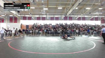 157 lbs Consolation - Nick Ferro, Natick vs Domenico Ternullo, Saint John's Prep