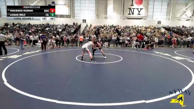 138 lbs Cons. Round 2 - Vincenzo Rubino, Deep Roots Wrestling Club vs Logan Milk, Club Not Listed