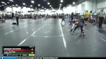 84 lbs Round 2 (8 Team) - Anthony Molinaro, Yale Street vs Cael Dutton, D3PRIMUS