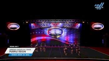 Amistad Eagles Allstars - Purple Reign [2024 L3 Senior - D2 - Small Day 2] 2024 Cheer Power Southern Nationals
