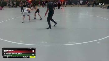 112 lbs Quarterfinal - Knox Lewis, TNWA vs Dominic Ramnarain, Iron Knights