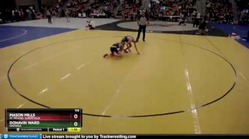 113 lbs Champ. Round 1 - Donavin Ward, Hastings vs Mason Mills, St. Michael-Albertville