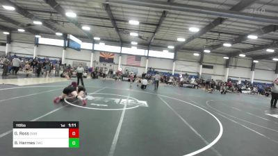 116 lbs Final - Gabriella Ross, Diablo Grande WC vs Braylin Hermes, Cwc