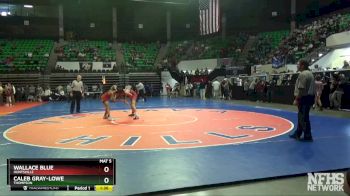 113 lbs Quarterfinal - Wallace Blue, Huntsville vs Caleb Gray-Lowe, Thompson
