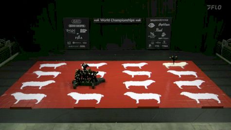 Grand Oaks HS "Spring TX" at 2024 WGI Color Guard World Championships