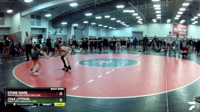 82 lbs Cons. Round 5 - Cole Littman, Great Neck Wrestling Club vs Stone Ware, Willie Walters Wrestling Club