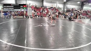 115 lbs Cons. Semi - Ava Hernandez, Scottsbluff vs Braylin Gibson, Alliance