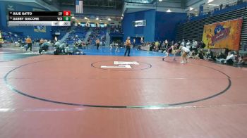 110 lbs Cons. Round 7 - Gabby Giacone, Watchung Hills vs Julie Gatto, Stafford
