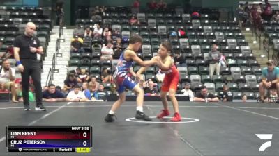 67 lbs 3rd Place Match - Liam Brent, MI vs Cruz Peterson, MI