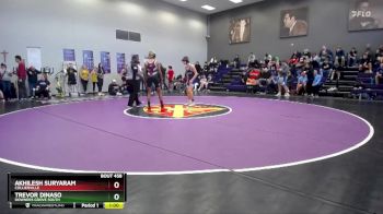 106 lbs Cons. Round 3 - Akhilesh Suryaram, Collierville vs Trevor Dinaso, Downers Grove South