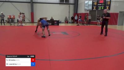 74 kg Consi Of 32 #1 - Nicholas Grizales, Boone RTC vs Michael Leandrou, Blue & Gold Wrestling Club