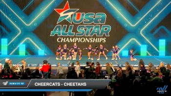 Cheercats - CHEETAHS [2019 - Mini PREP 1.1 Day 1] 2019 USA All Star Championships